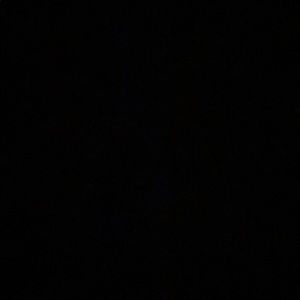 Meet your Posher, Gary